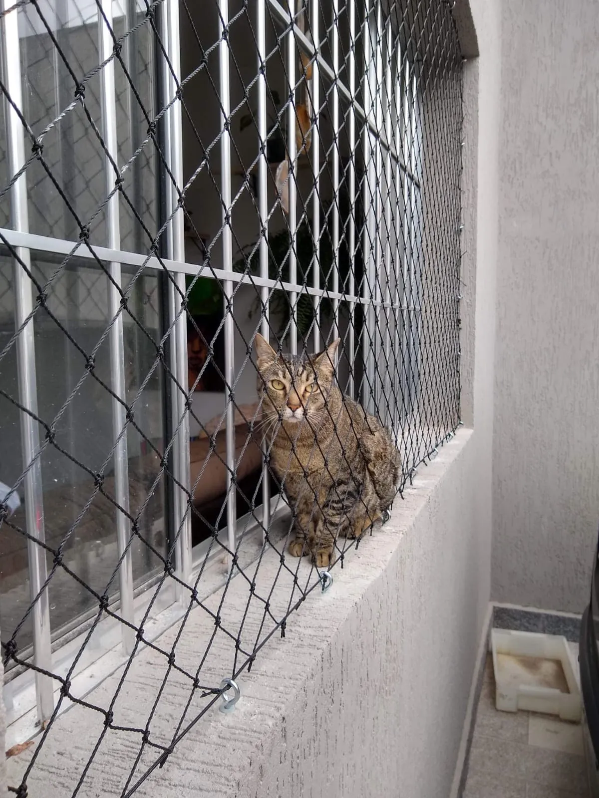 Instalação Realizada