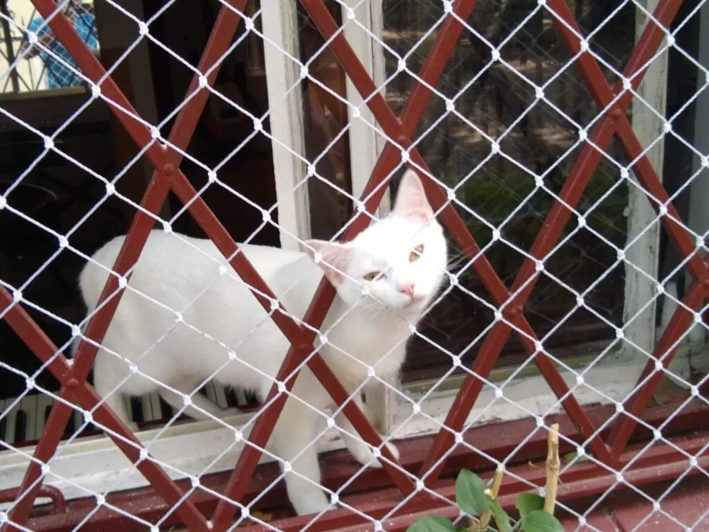 Instalação Realizada